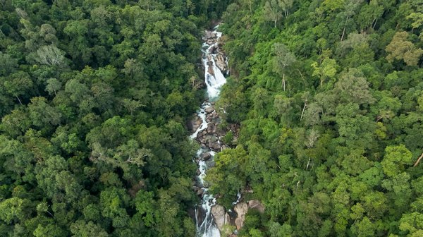 Boostez vos résultats au bac grâce à notre simulateur de notes