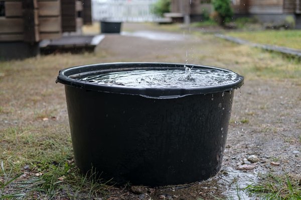 Comment récupérer l'eau de pluie ?