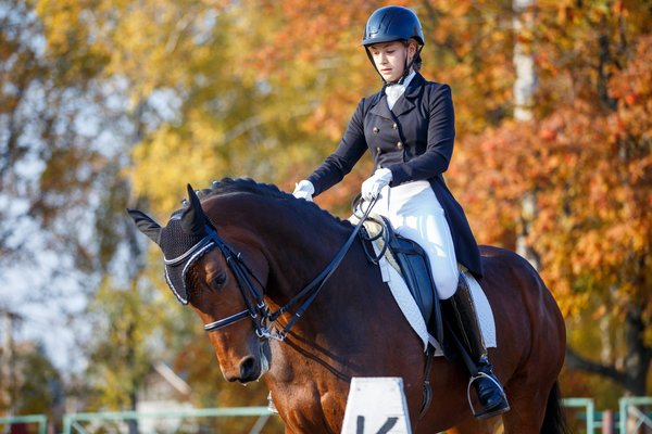 Dressage équestre : Conseils pour améliorer la souplesse et la coordination