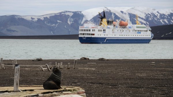 Antarctique : une croisière au cœur des glaces !