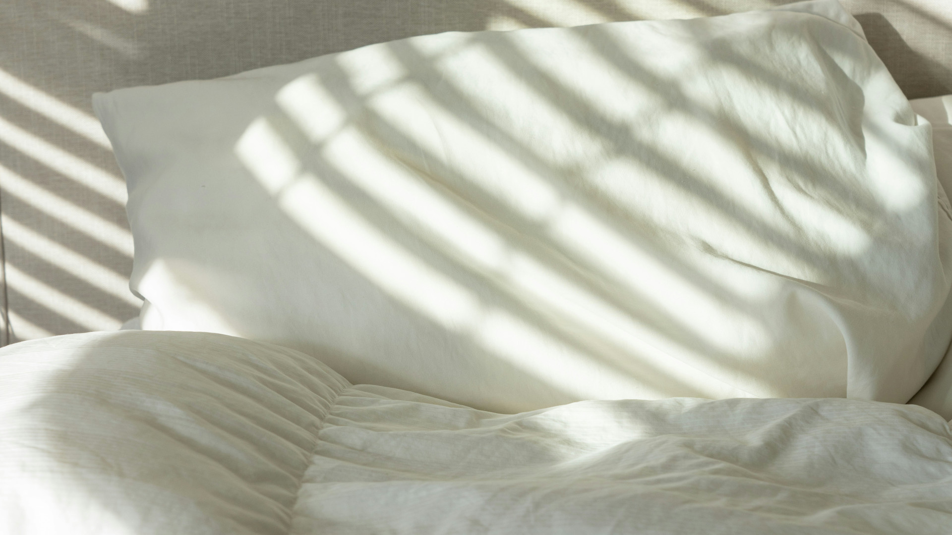 Quel est le rôle des professionnels pour l'éradication des punaises de lit